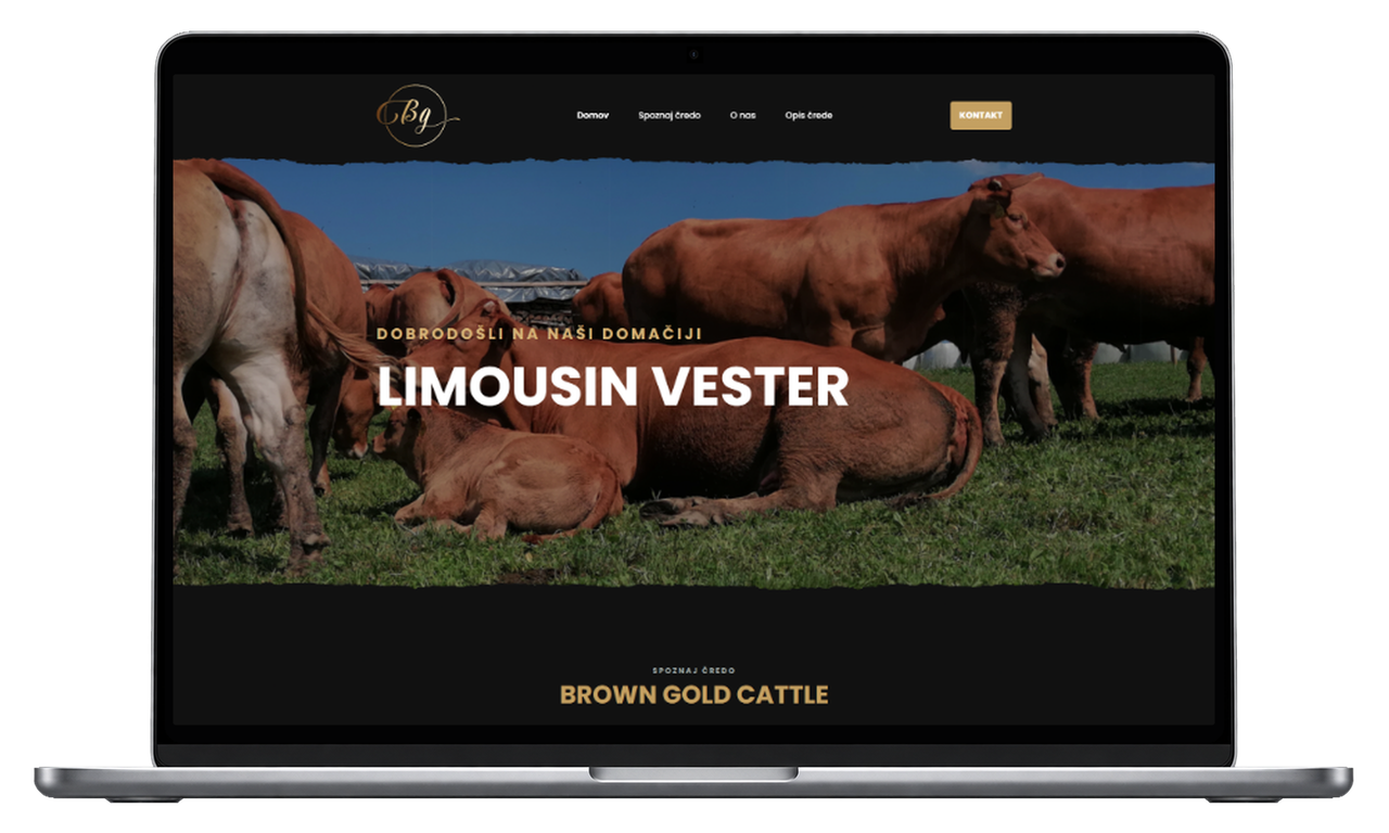 Limousin Vester